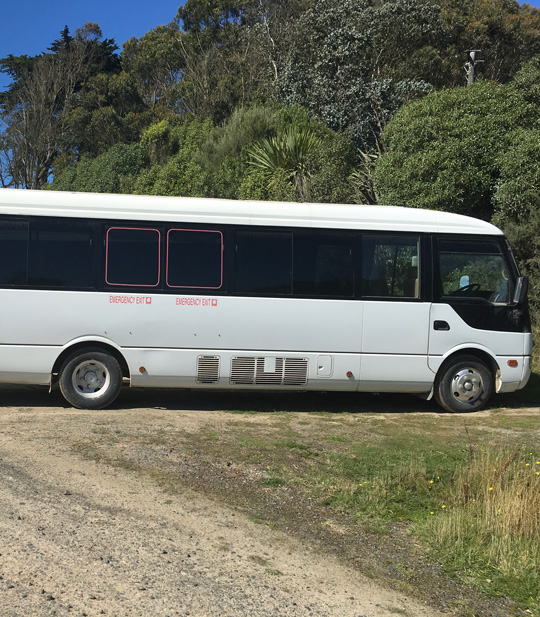 penguin express coach